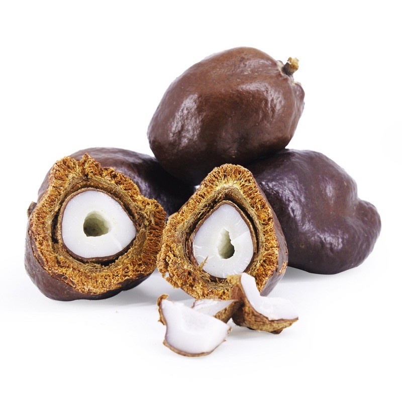 

TEBUS MURAH Buah Zuriat Doum Madinah 1KG Originial Hitam pekat / Penyubur pria wanita promil