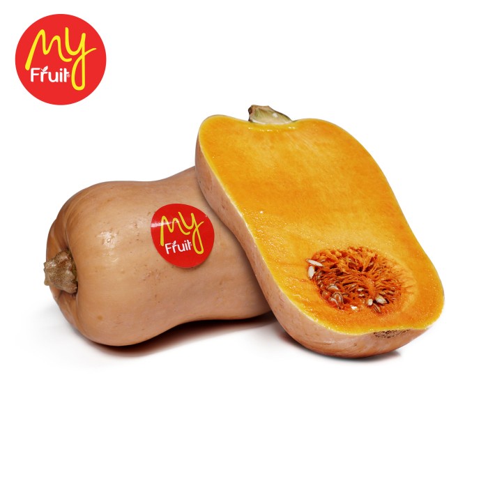 

My Fruit Pumpkin Butternut ( Labu Madu ) 1 Pcs
