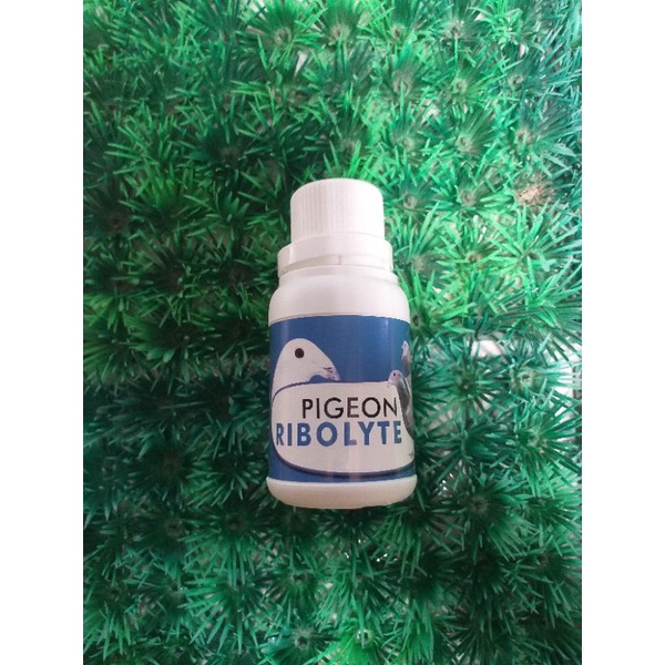 REBOLYTE TENAGA MERPATI VETAFARM 10ML