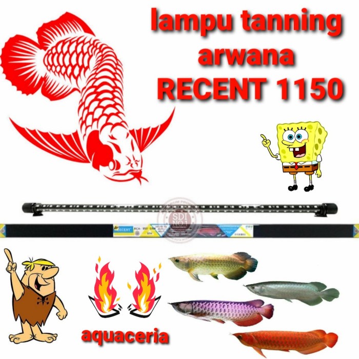 lampu tanning ikan arwana recent SNR 1150