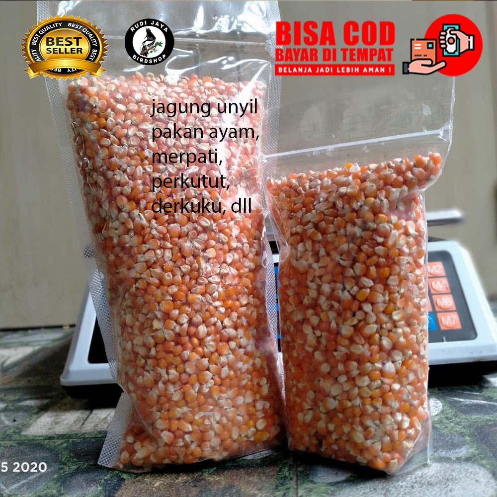 READY JAGUNG MADURA UNYIL 1KG PAKAN MAKANAN BURUNG MERPATI AYAM BANGKOK FILIPIN ADUAN HARIAN SEHAT K