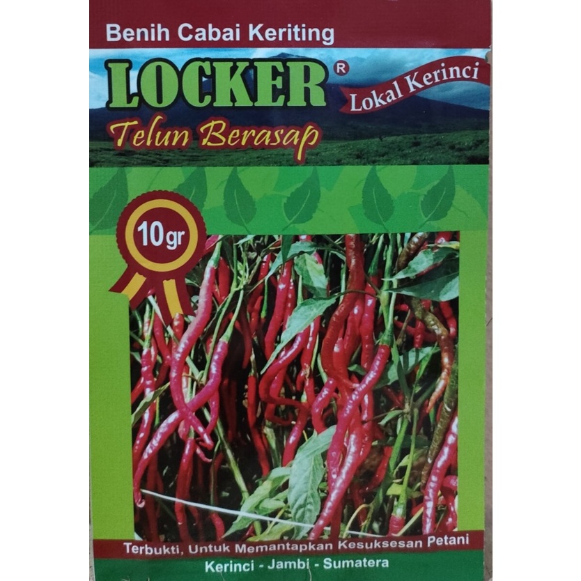 Bibit unggul cabe keriting LOCKER ( bisa COD)