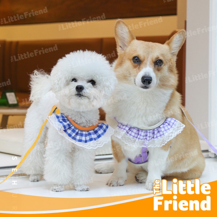 Leash Harness Anjing Kucing dengan Pretty Lace Bib Style Adjustable