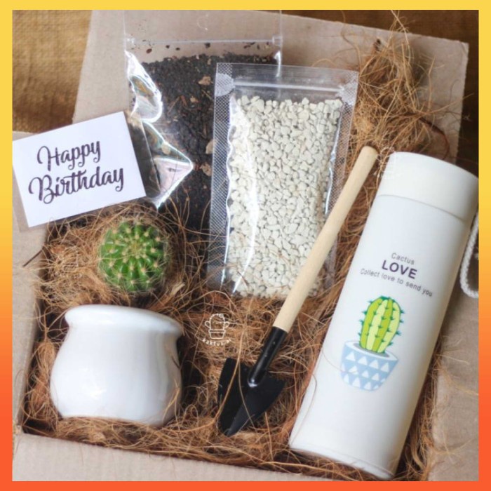 

⭐BISA COD⭐ Promo Paket Kado Kaktus Gift Planting Kit Hampers Ultah Unik Lebar
