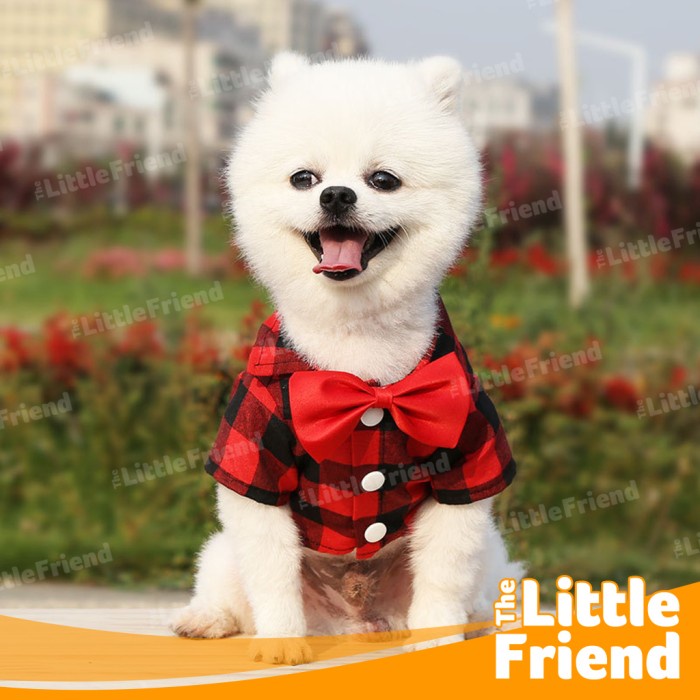 Baju Kucing Anjing Jantan Kemeja Dasi Kotak Suit Wedding Formal Plaid