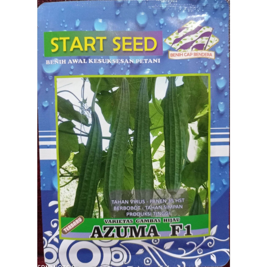 Benih Oyong Hijau AZUMA F1 TAHAN VIRUS 80 biji