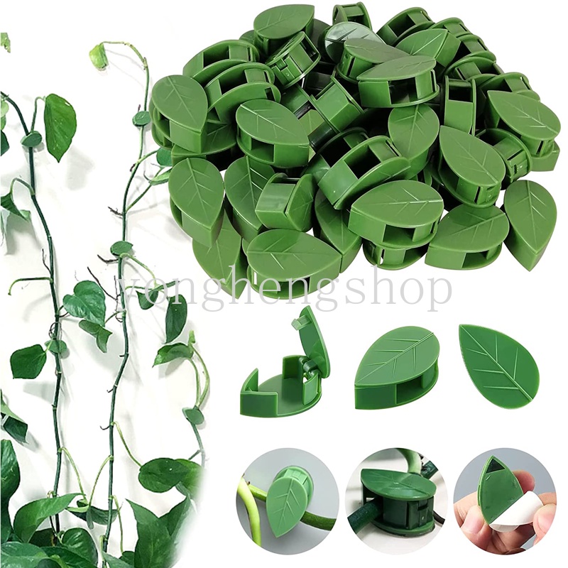 10pcs/set Klip Pendaki Tanaman Tak Terlihat Perekat Diri Dinding Gesper Rotan Dukungan Vine Bracket Tetap Klip Taman Traksi Pemegang Berbentuk Daun Kawat Kabel Organizer