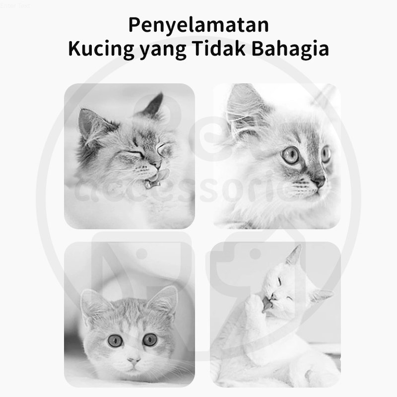 Catmint Kucing Ball Catnip Ball Tempel Catnip Kucing Snack Kucing