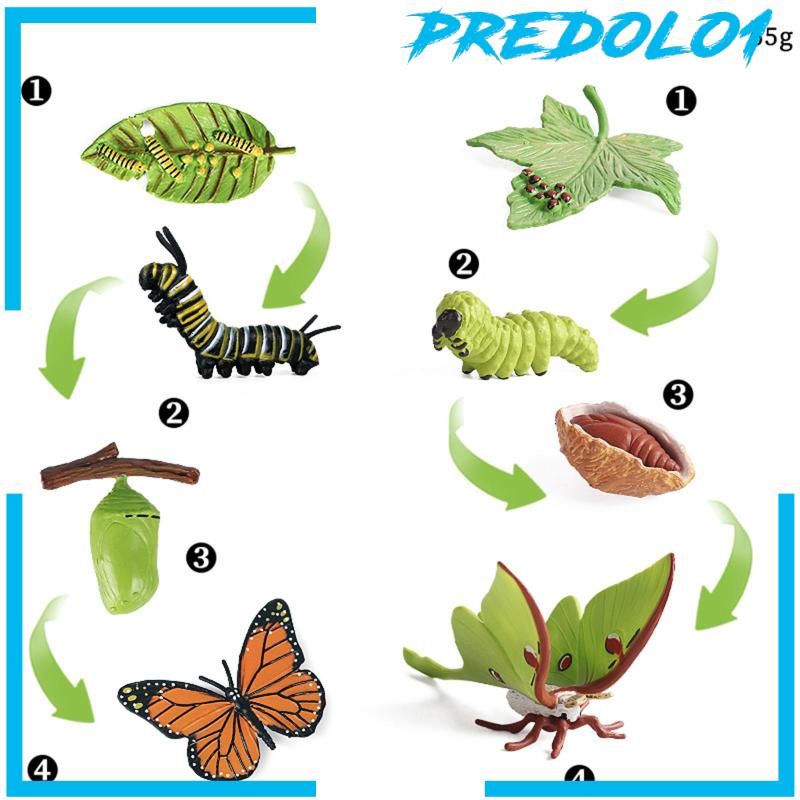 [Predolo1] Montessori Butterfly Moth Life Cycle Figure Biologi Untuk Souvenir Pesta