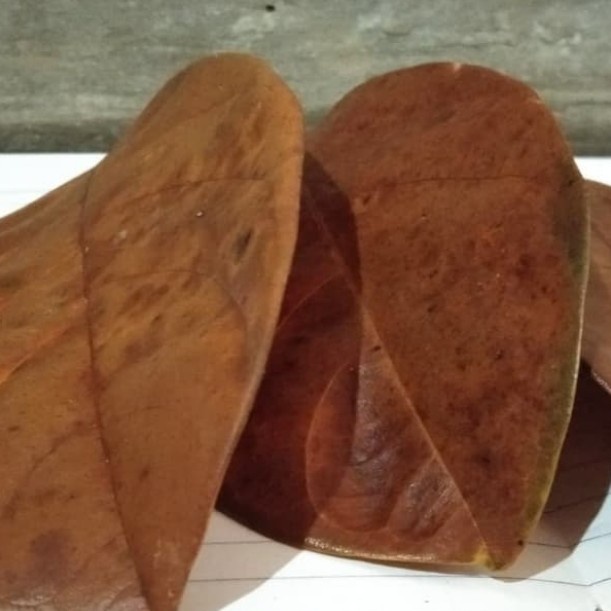 

[Ready Stock] Daun nangka Kering