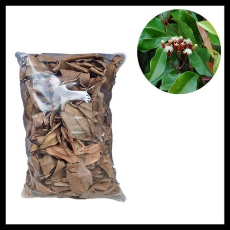 

DAUN CENGKEH KERING 1KG MURAH KWALITAS TERBAIK, OBAT HERBAL, OBAT TRADISIONAL,