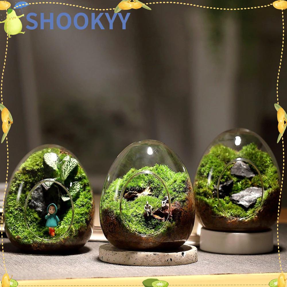 Chookyy Botol Kaca Terrarium Kreatif Hidroponik Micro Landscape Glass