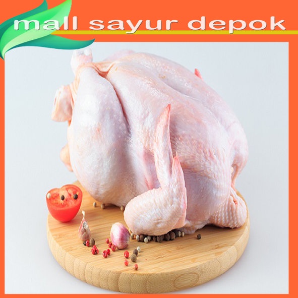 

Ayam Potong Segar