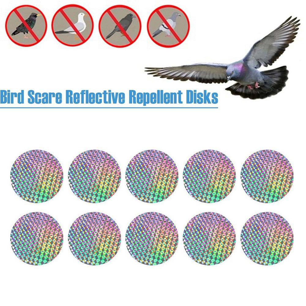 [Elegan] Piringan Pengusir Burung Ampuh Anti Burung Outdoor Pigeon Bird Scare Sticker