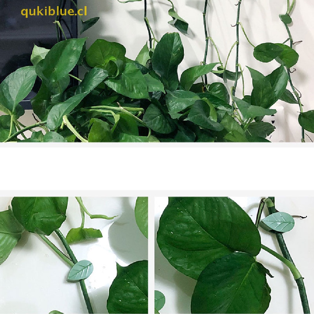 Qukiblue 10pcs Klip Perlengkapan Tanaman Plant Climbing Wall Self-Adhesive Fastener Tied Fixture cl