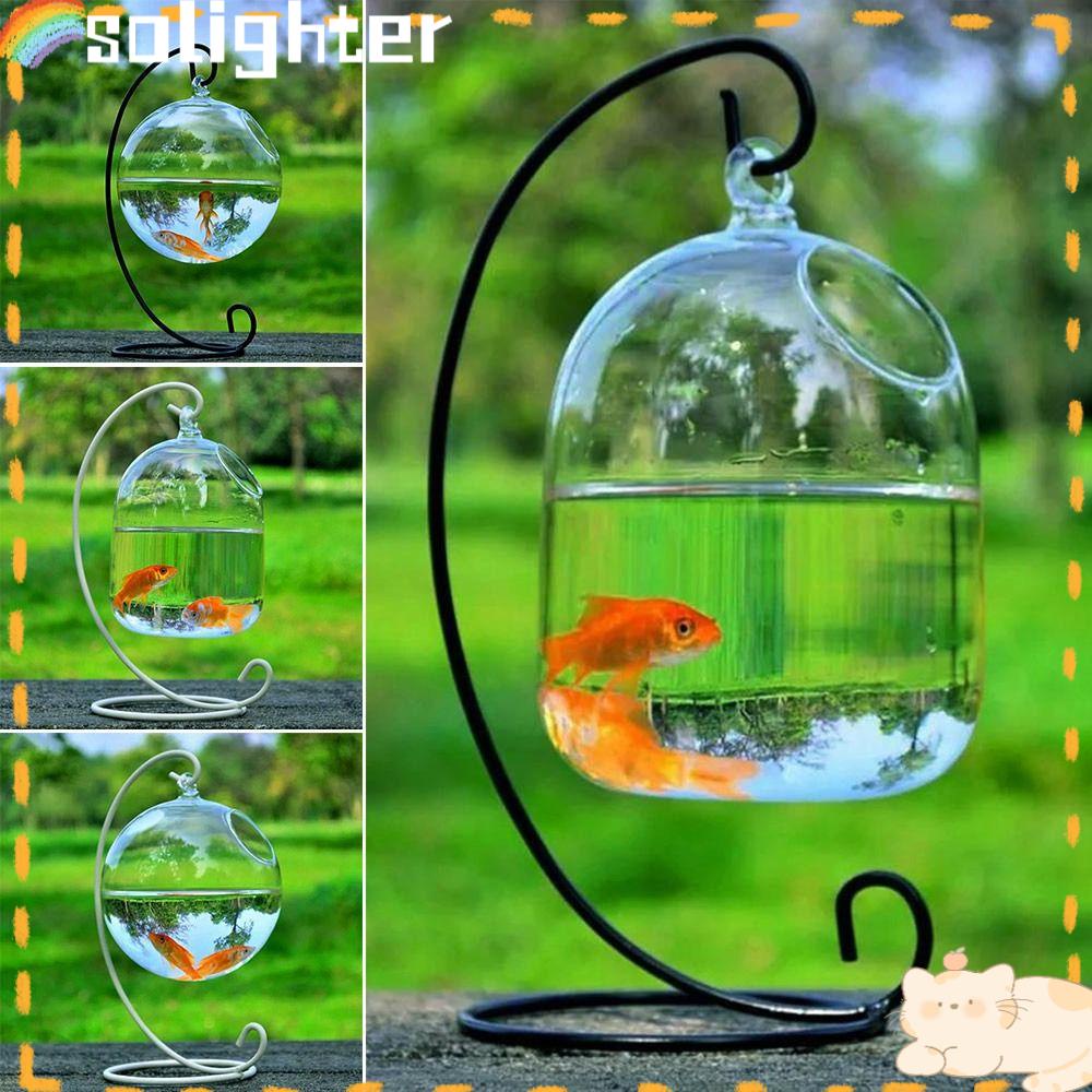 Solighter Hanging Glass Fish Bowl Dekorasi Rumah Kerajinan Kaca Hiasan Aquarium Hiasan Dinding Dengan Rak Holder Hidroponik Vas Fish Bowl