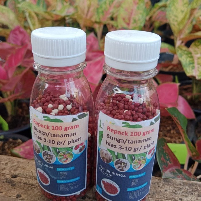 Pupuk Merah Aglonema Slow release , kemasan repack 100 gr,pupuk untuk bunga