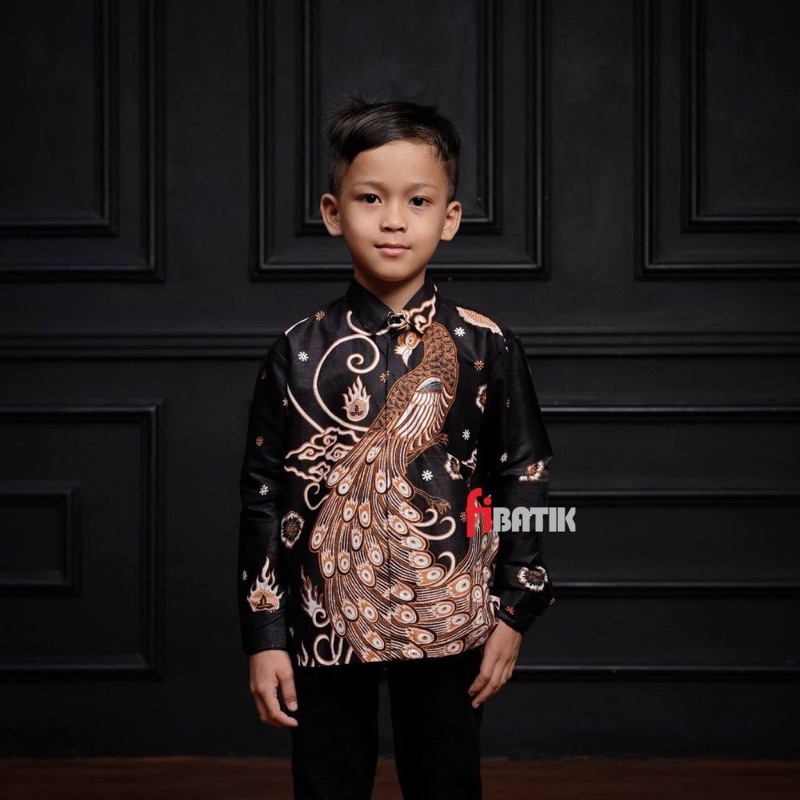 TERBARU KEMEJA BATIK ANAK LAKI-LAKI MODERN / BATIK ANAK LENGAN PANJANG / BATIK ANAK UMUR 2-13 TAHUN butikdian