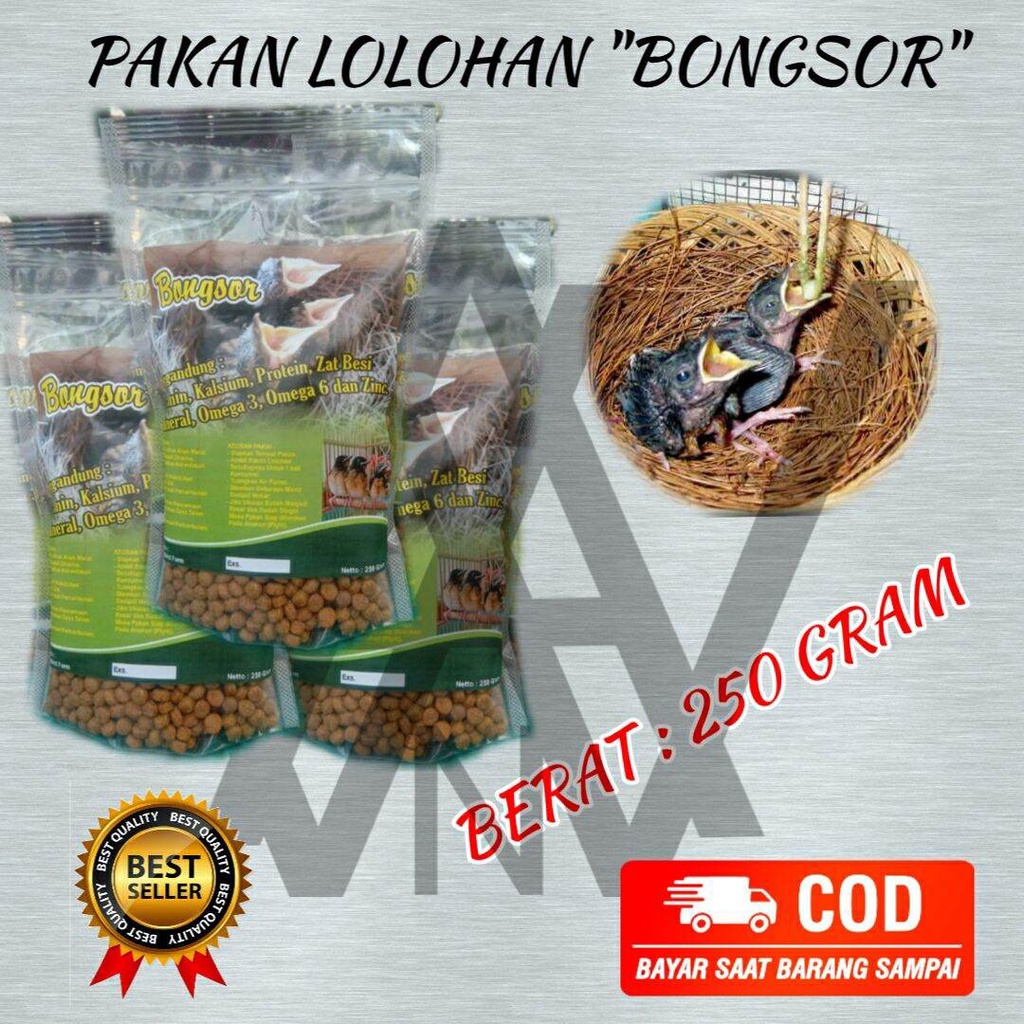 READY BONGSOR LOLOH DARI BRAL BRUL PELET PAKAN MAKANAN LOLOHAN PIYIK ANAKAN BURUNG MURAI KACER