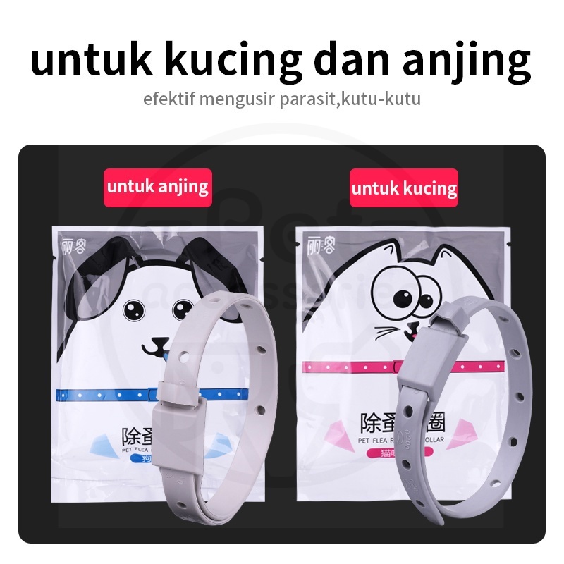 Cat Flea Circle Kalung Anti Kutu Kucing / Anjing