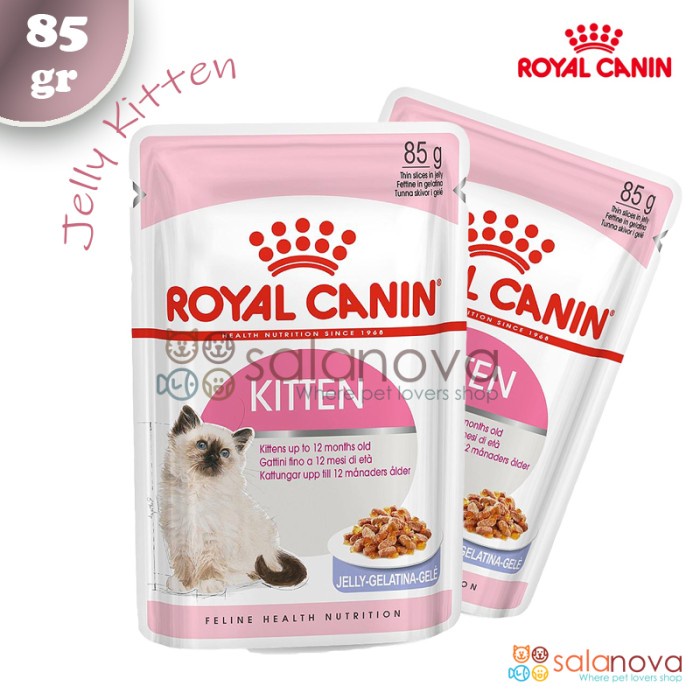 Royal Canin Kitten Jelly 85gr Wet Food Makanan Kucing Basah