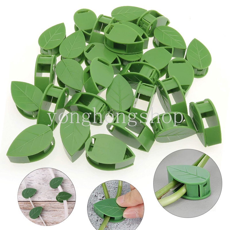 10pcs/set Klip Pendaki Tanaman Tak Terlihat Perekat Diri Dinding Gesper Rotan Dukungan Vine Bracket Tetap Klip Taman Traksi Pemegang Berbentuk Daun Kawat Kabel Organizer