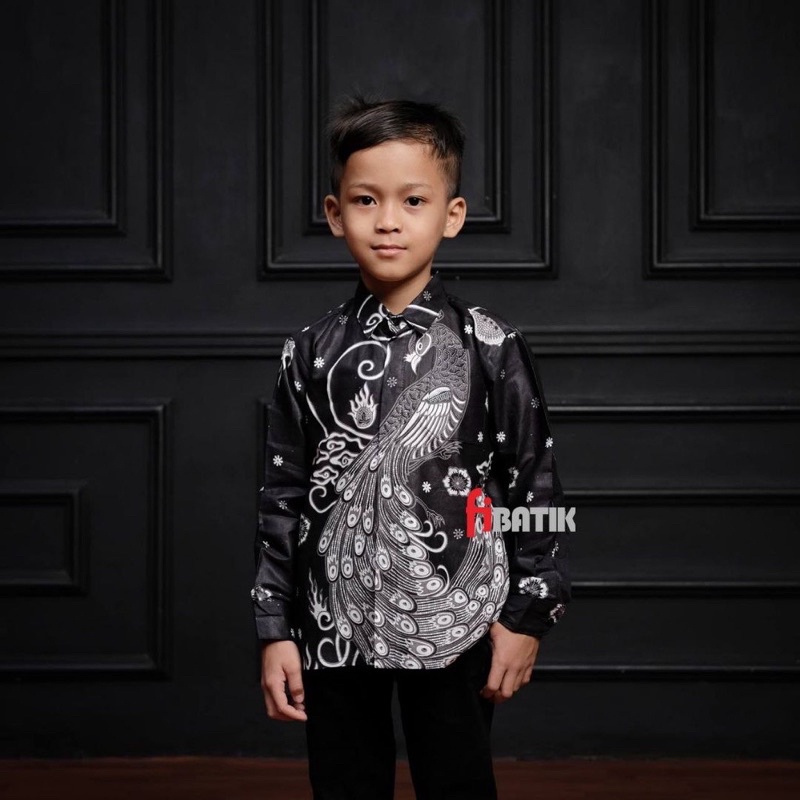 TERBARU KEMEJA BATIK ANAK LAKI-LAKI MODERN / BATIK ANAK LENGAN PANJANG / BATIK ANAK UMUR 2-13 TAHUN butikdian