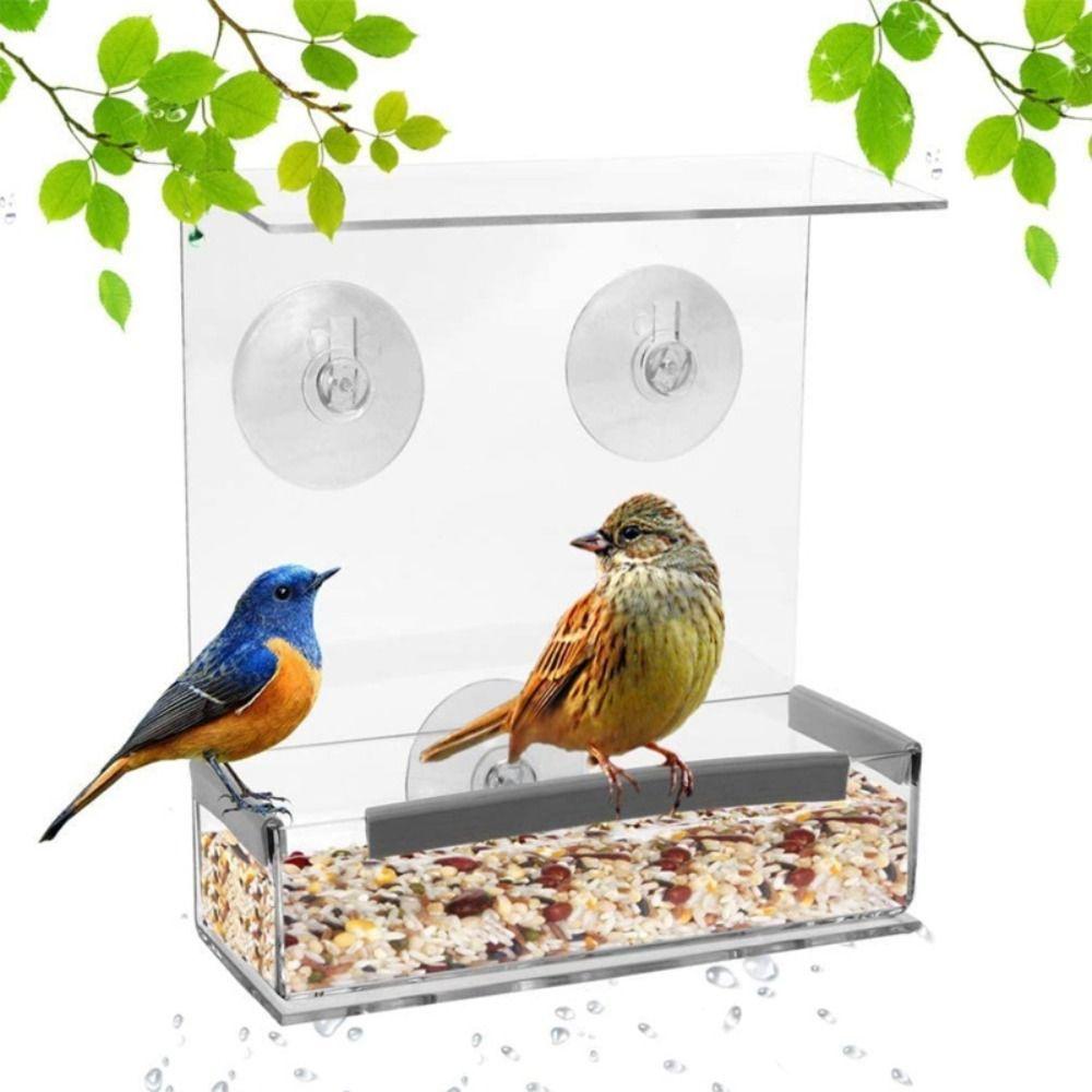 TOP Window Bird Feeder New Transparan Gantung Kuat Suction Cups