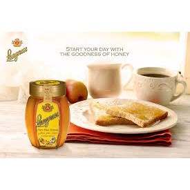 Langnese Pure Bee Honey 500 gr - Madu Lebah Murni