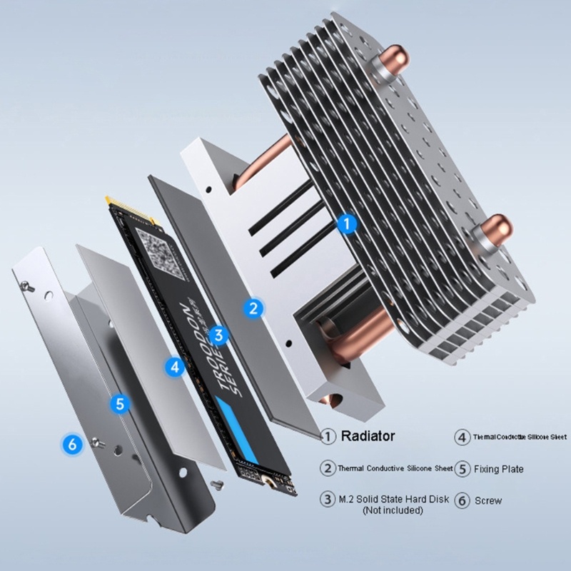 Zzz NVME Radiator Penghilang Panas SSD 2280dengan Pad Silikon Thermal Untuk Laptop