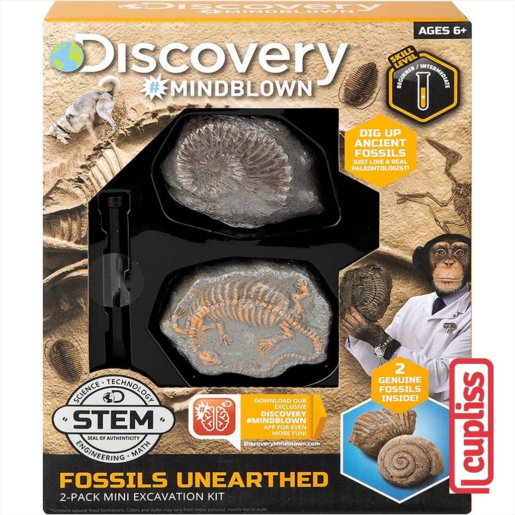 Discovery 1423004771 Fossil Unearthed Mindblown Educational STEM