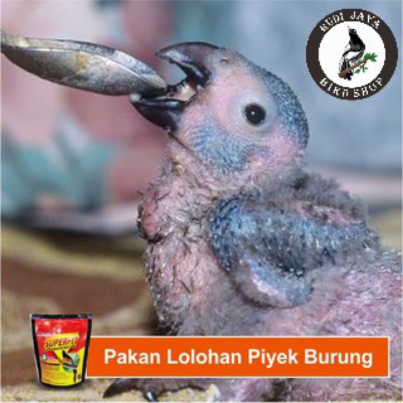 Readysuperfit Black Voer Loloh Pakan Makanan Lolohan Anakan Piyek Burung Murai Anis Kacer Cucak Rowo