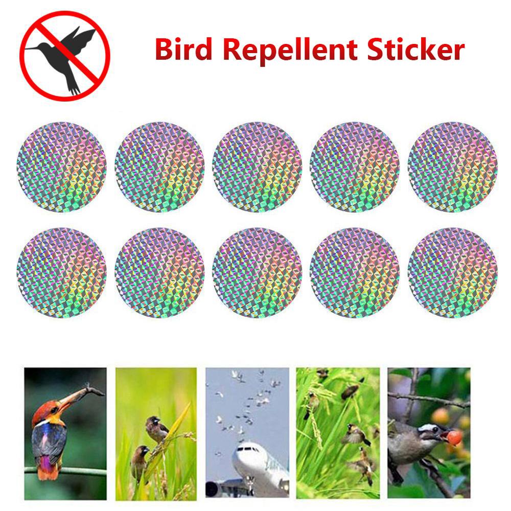 [Elegan] Piringan Pengusir Burung Ampuh Anti Burung Outdoor Pigeon Bird Scare Sticker