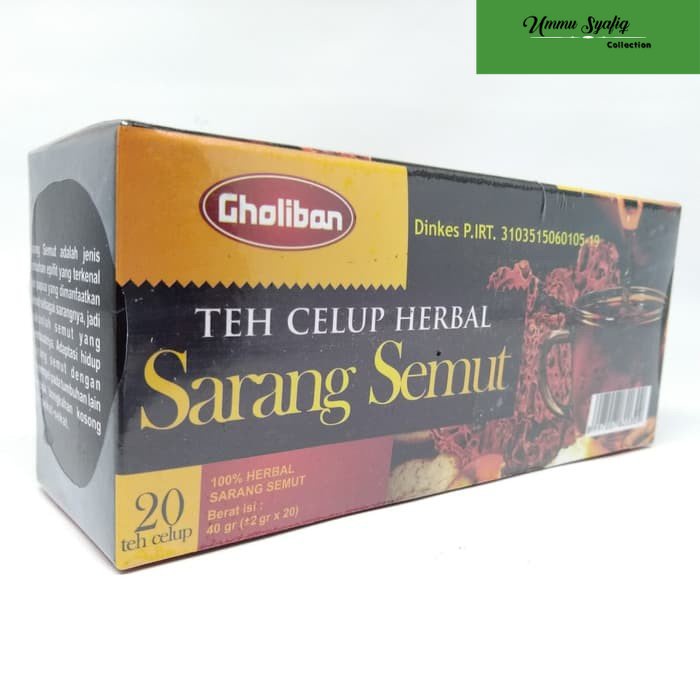 

Teh Celup Sarang Semut Papua Gholiban