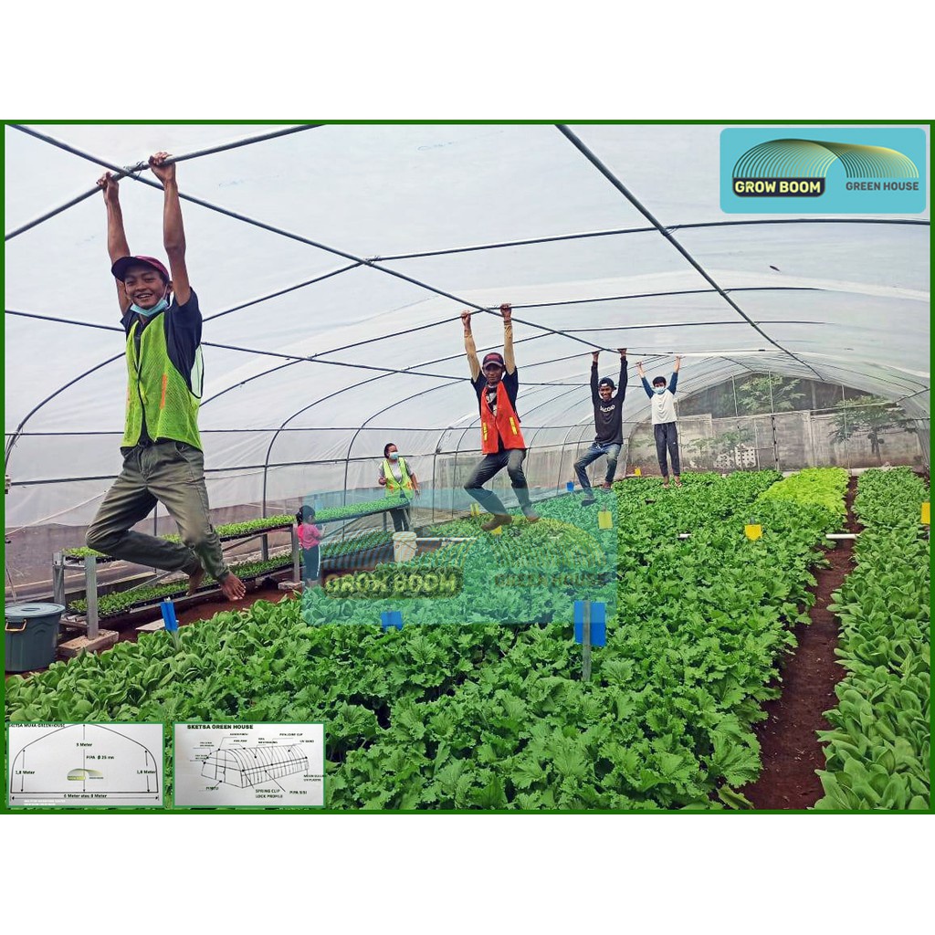 GROW BOOM green house6x3m (18m2)