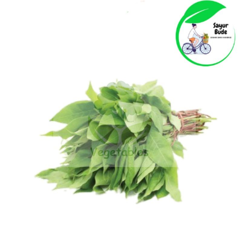 

Daun singkong muda 2 ikat