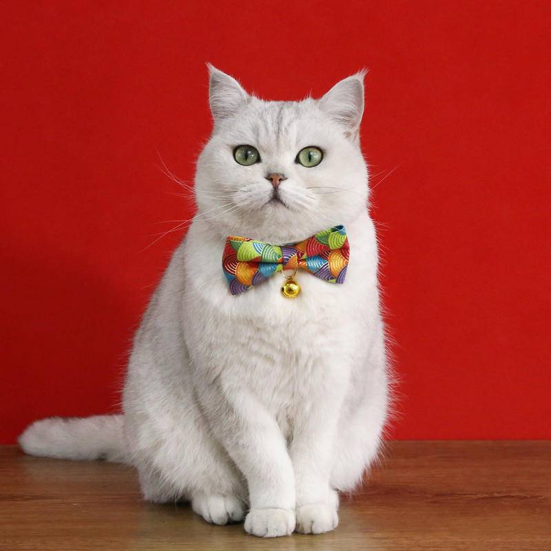 Kucing Peliharaan Kerah Busur Dengan Liontin Awan Menguntungkan Gaya China Dan Lonceng adjustable anti-Sedak bow tie chain Untuk Anak Kucing Dan Anak Anjing