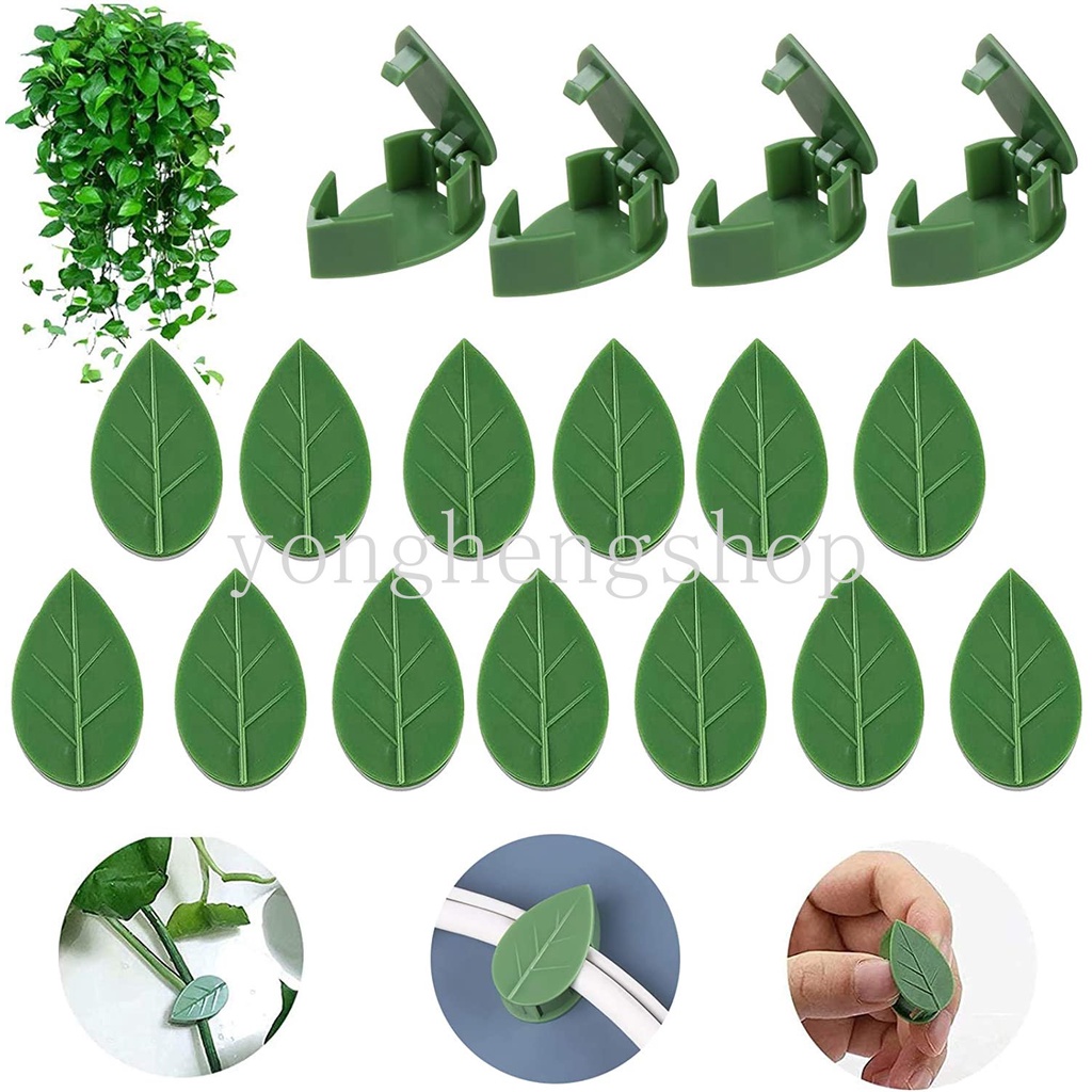 10pcs/set Klip Pendaki Tanaman Tak Terlihat Perekat Diri Dinding Gesper Rotan Dukungan Vine Bracket Tetap Klip Taman Traksi Pemegang Berbentuk Daun Kawat Kabel Organizer