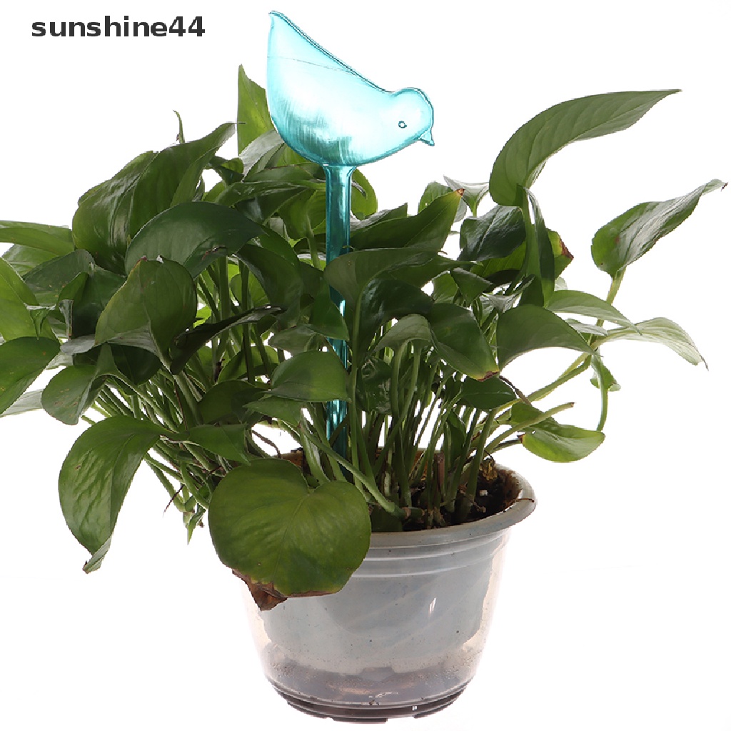 Sunshine Tanaman Otomatis Self Watering Water Ball Pot Bunga Alat Irigasi Tetes ID