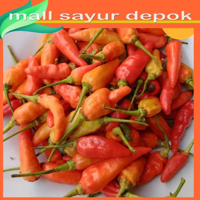 

Cabe Rawit Merah Pedas