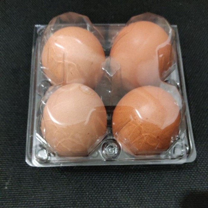 Mika Telur / Tray Telur isi 4 Butir Sudah ada Pengunci / Mika Telur PET @ 50 pcs