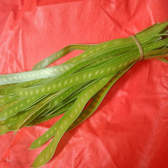 

[Ready Stock] Petai Cina Muda/Lalap