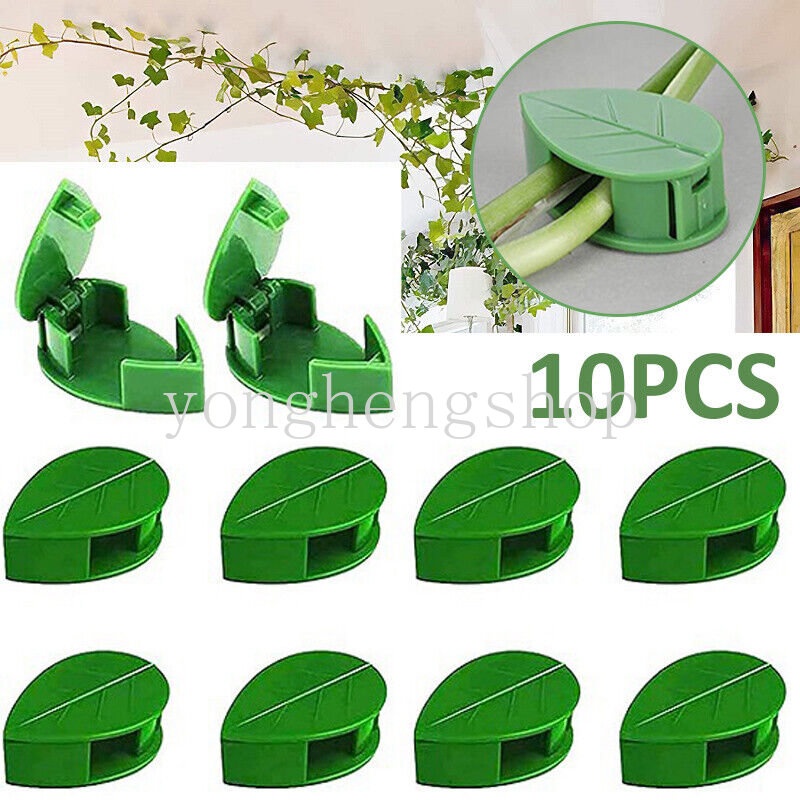 10pcs/set Klip Pendaki Tanaman Tak Terlihat Perekat Diri Dinding Gesper Rotan Dukungan Vine Bracket Tetap Klip Taman Traksi Pemegang Berbentuk Daun Kawat Kabel Organizer