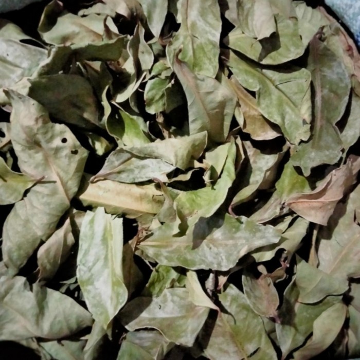 

[Ready Stock] daun salam kering - daun salam