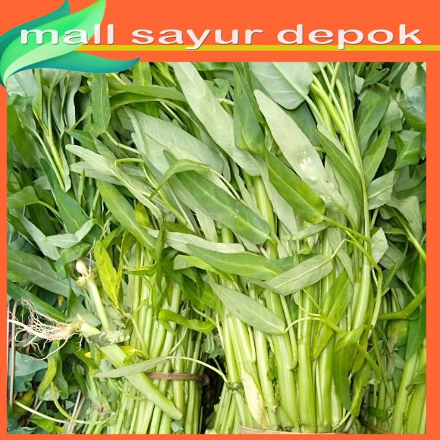 

Kangkung