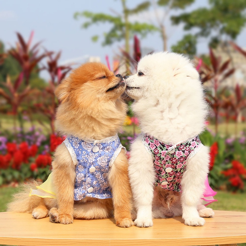 Rok Kasa Bunga Anjing Musim Semi/Musim Panas Gaya Baru Rok Putri Bunga Yang Indah S-XXL Ukuran Anjing/Kucing Versi Korea Gaun Pengantin Anjing Kecil/Sedang