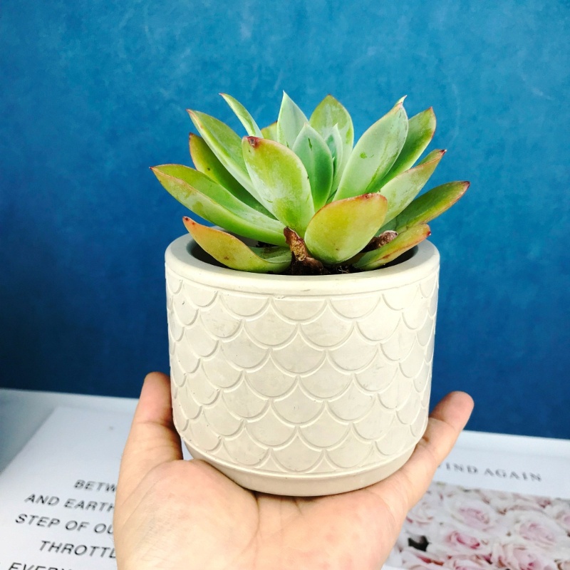 Siy Silinder Pot Bunga Cetakan Silikon Plester Succulent Planter Mold Lucu Concrete Cement Mold Untuk DIY Tempat Pulpen, Rumah D