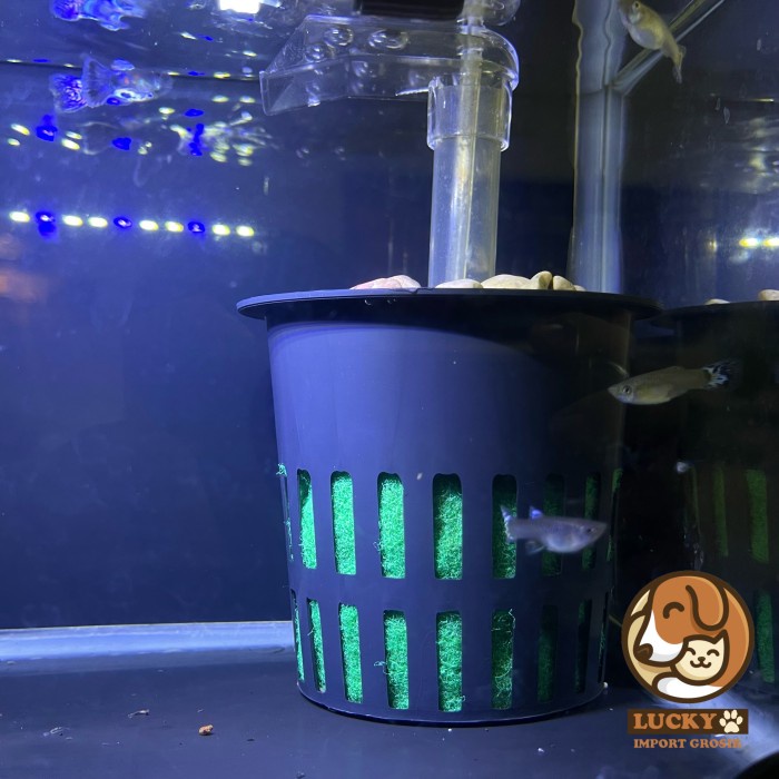 Semi Undergravel Filter Saringan Aquarium Ikan Hias Guppy/Cichild/dll