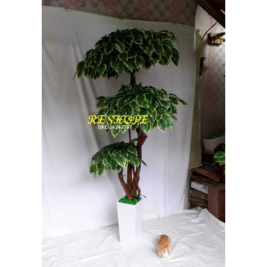 bunga hias plastik/bunga plastik/pohon hias bonsai tinggi 2mtr/pohon plastik/artificial bonsay