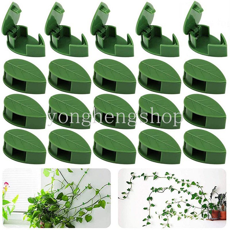 10pcs/set Klip Pendaki Tanaman Tak Terlihat Perekat Diri Dinding Gesper Rotan Dukungan Vine Bracket Tetap Klip Taman Traksi Pemegang Berbentuk Daun Kawat Kabel Organizer